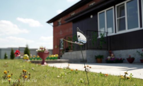 Дом престарелых «Добрые истории» д. Куюки отзывы